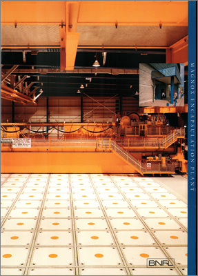 Magnox Encapsulation Plant (BNFL brochure, 1991)