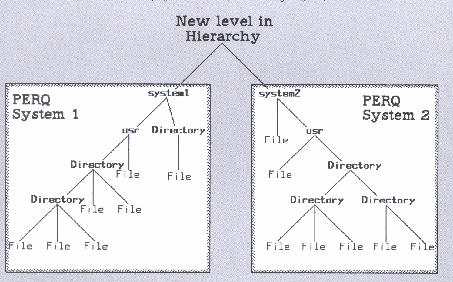 Figure 1: Structure of PNC file system for two PERQs