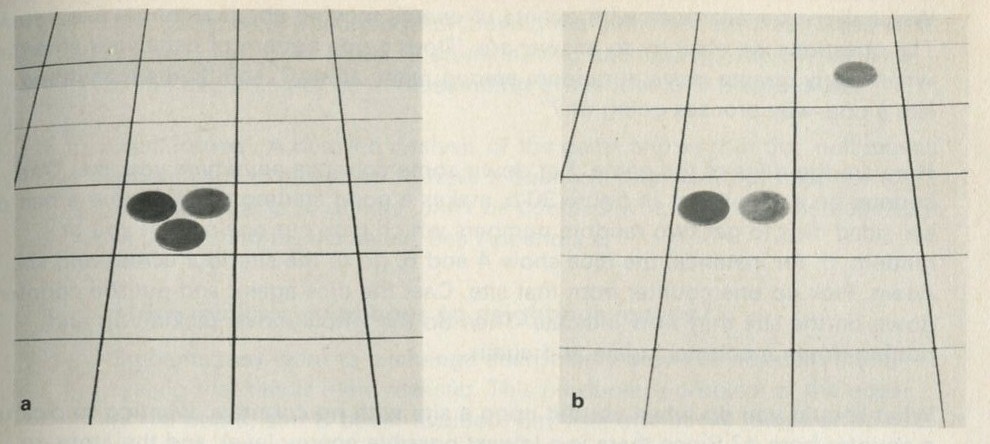 Figure 31: Transferring one quantum of energy. Photographs, Michael Plamer.