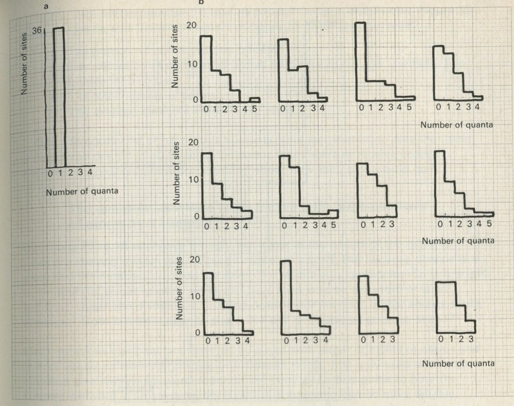 Figure 32: Twelve sample games (36 sites, 36 quanta, 100 moves) played by computer. 
a Initial distribution. b Distributions after 100 moves. 