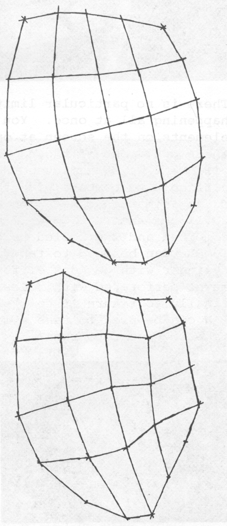 Figure 4b:  The key grids are automatically in-betweened and the drawing is 
distorted to fit
