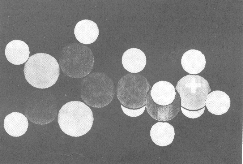 Figure 8: the illusion of a solid molecular model-rotating can 
be produced simply using the TILT operation controlled by sine waves 