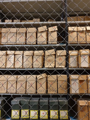 R3 Basement Archives