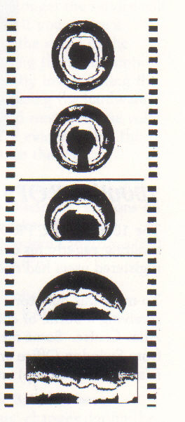 Figure 2. FRAM frames