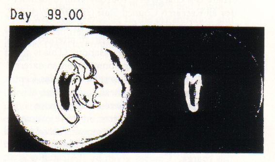 Figure 1. Potential Vorticity (left) and tracer released at pole (right)