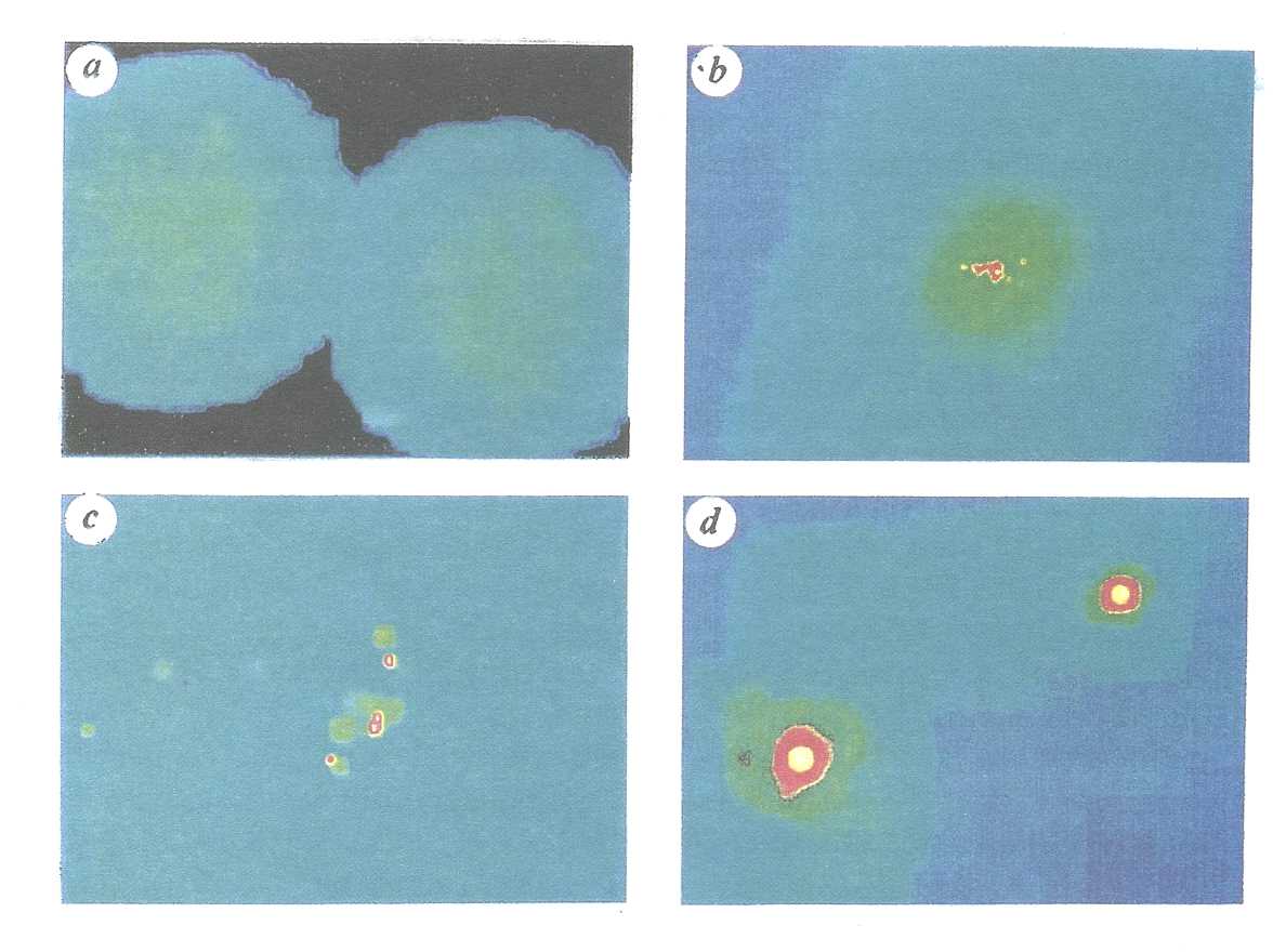 Fig. 1 Off -axis collision of two uniform clouds. Colour represents column density, with blue the lowest density and white the highest, 