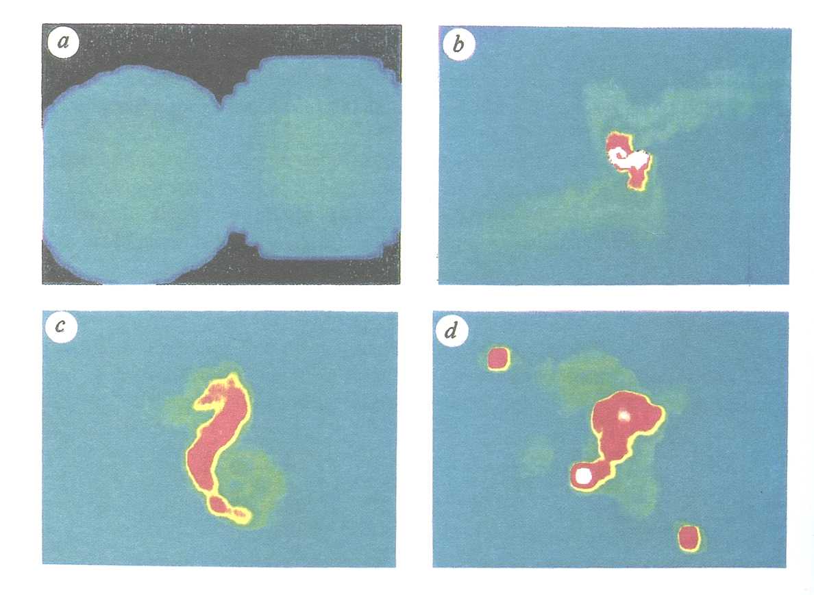 Fig. 2 Off-axis collision of two equilibrium, centrally condensed clouds