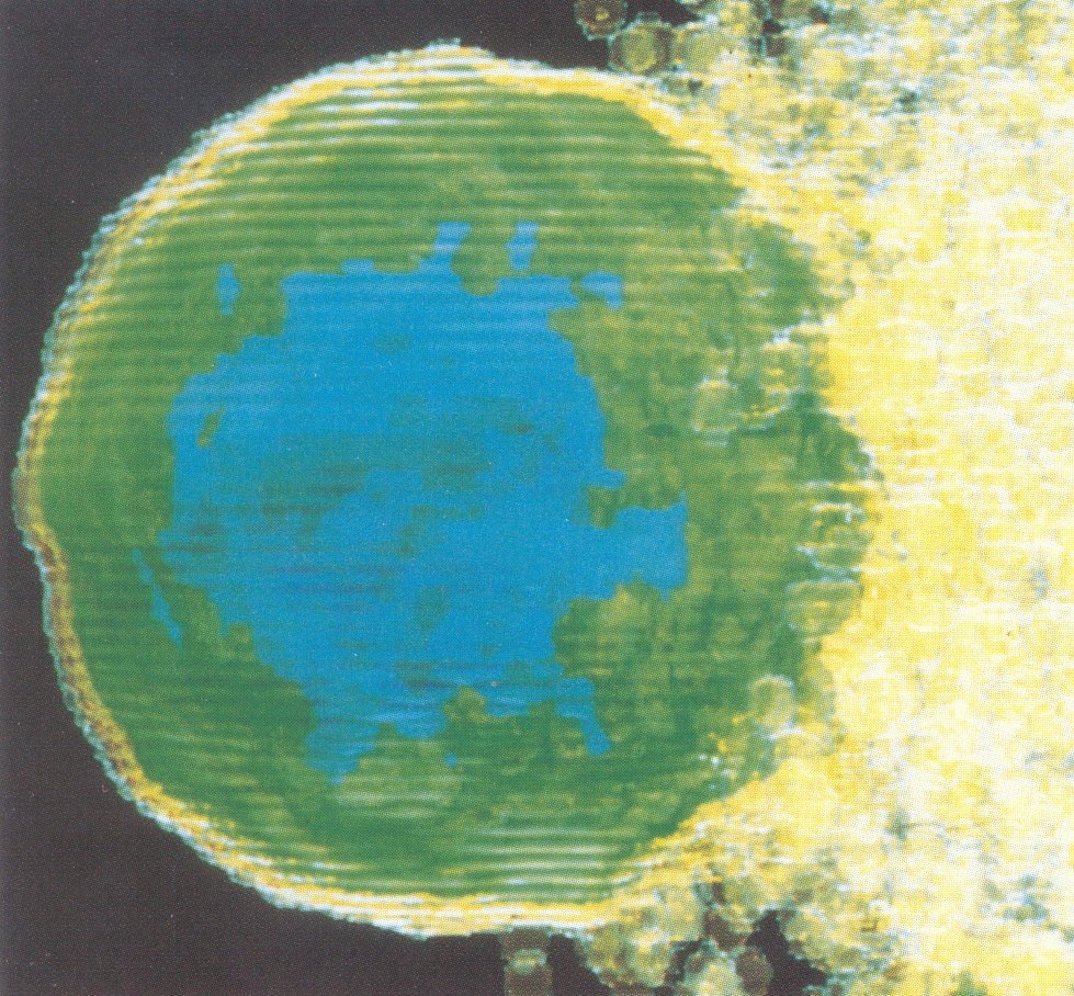 Fig 5.1 Simulation of AMPTE artificial comet experiment.