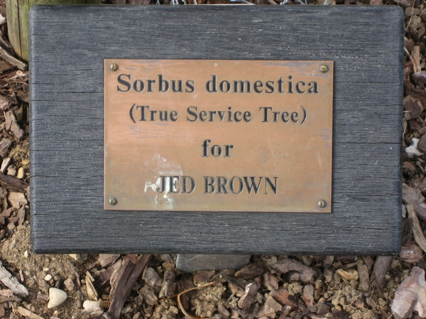 Jed Brown, South East of R71