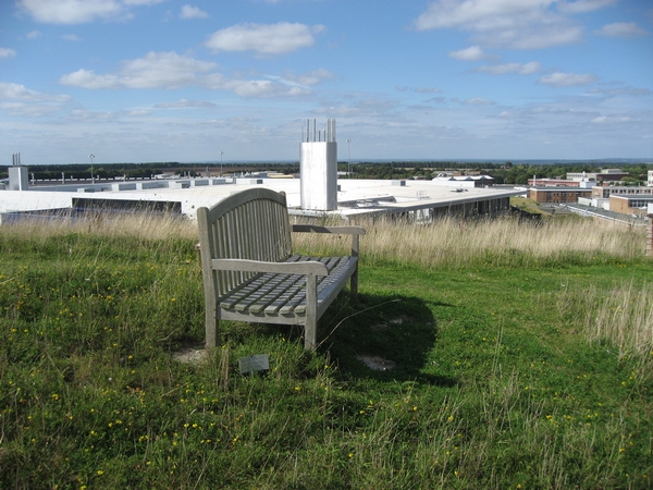 Anton Walter, South of R80, 1967-1982