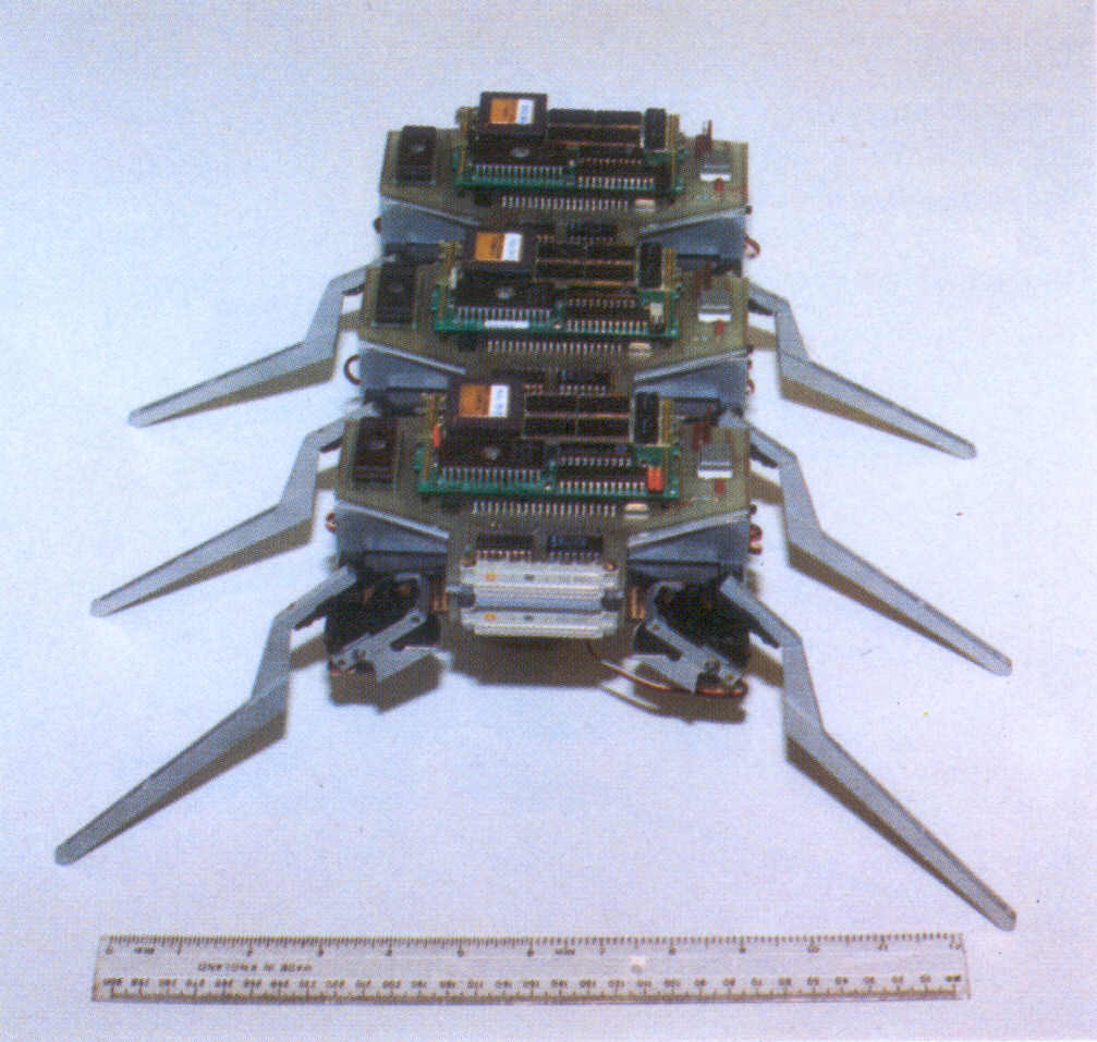 Fig 2.6 Three segments of the Hexapod assembled and awaiting the addition of the head section. The three controlling transputers (orange and white squares) are visible along the top of each segment