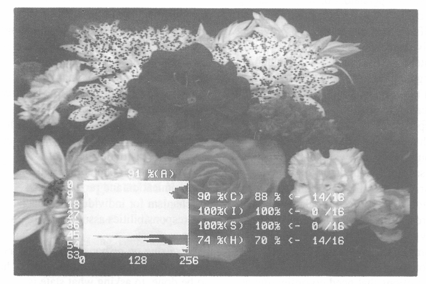 Figure 4: Flower image & responses bar chart when hue in the range 40-42 is changed to 45