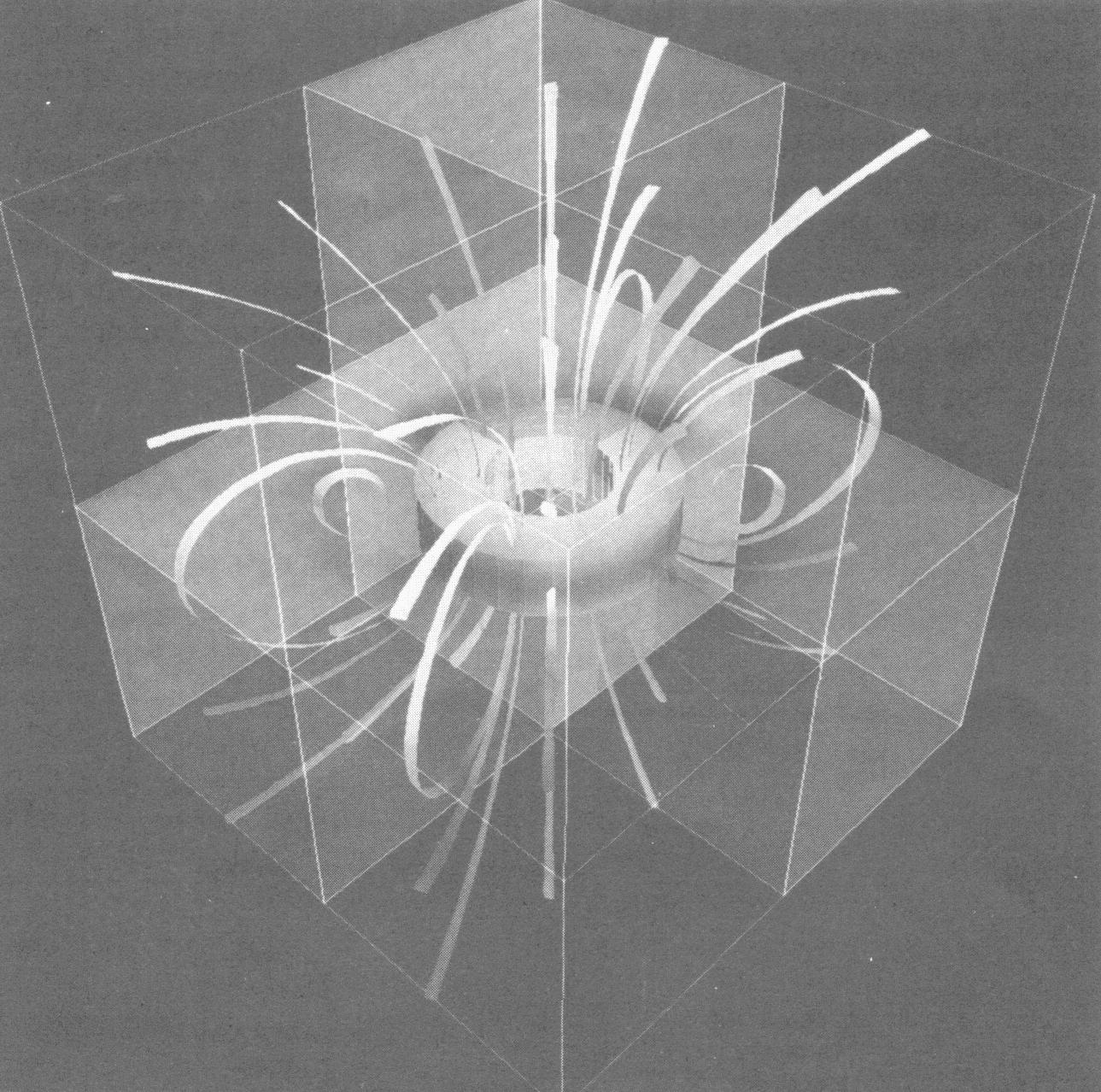 Figure 1. Magnetic flux ribbons around a conducting torus. Visualization by Informatics Department at RAL (Data courtesy of Vector Fields Ltd)